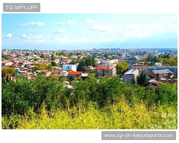 格鲁吉亚传控节奏出色，被认为可制造更多惊喜