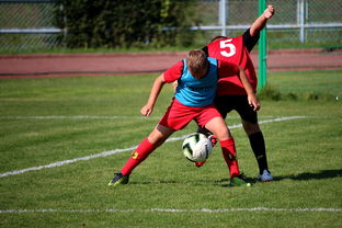 九游官网入口下载-中国篮球职业联赛俱乐部运营模式创新及管理经验分享，篮球俱乐部运营与管理